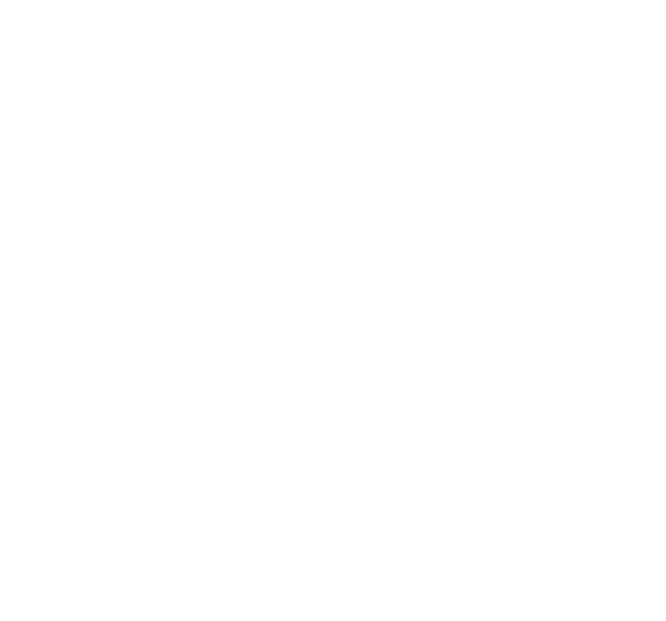 Hayra Legacy logo